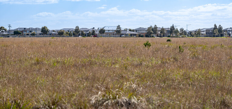 Open grassland reserve in Point Cook, Melbourne, Australia, with dry native vegetation and suburban houses in the distance. Undeveloped conservation land at the edge of urban expansion