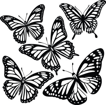 Elegant Butterfly Vector Illustration Set in Black and White for Design Projects