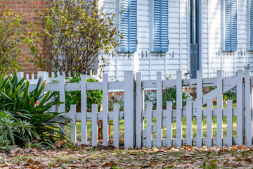 Traditional white picket fence with a rustic gate in front of an old timber weatherboard house. A nostalgic, cottage-style atmosphere in a quiet suburban residential property in Australia.