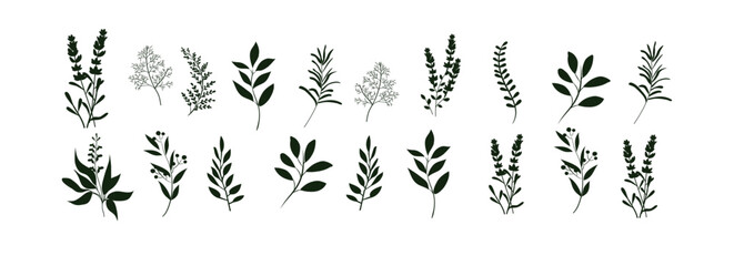 Botanical Hand Drawn Leaf Illustrations
Minimal Floral Elements Vector Set
Wild Herb and Leaf Silhouette Collection
Elegant Botanical Clipart Design Pack
Vintage vector bundle clipart
