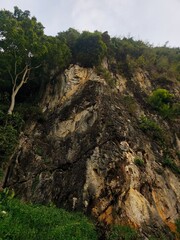 Explore the rugged beauty of rocky cliffs adorned with resilient trees and lush plants. These natural formations are a testament to the power of geology and erosion, creating breathtaking landscapes.