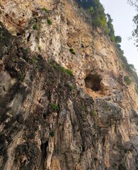 Explore the rugged beauty of rocky cliffs adorned with resilient trees and lush plants. These natural formations are a testament to the power of geology and erosion, creating breathtaking landscapes.