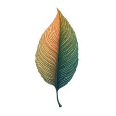 Fototapeta premium Detailed illustration of a colorful leaf.