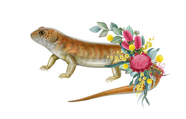 Great desert skink with floral decor hand drawn watercolor vintage style illustration. Australian desert skink endemic reptile with Australia wildflowers native flora decoration on white background