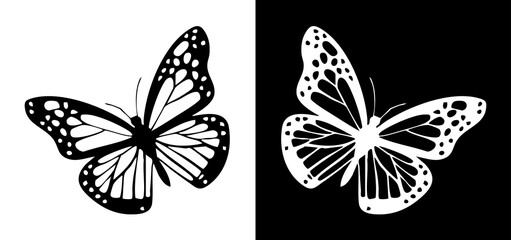 butterfly vector illustration