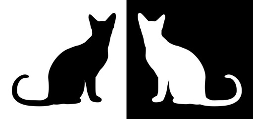 black cat silhouette