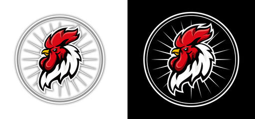 black and white rooster