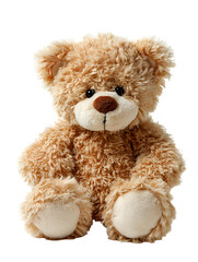 Obraz premium teddy bear isolated on white background