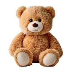 Obraz premium teddy bear isolated on white