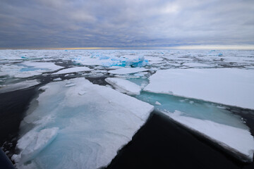 Floating ice on the ocean in the arctic of Svalbard, Norway © Reto Ammann