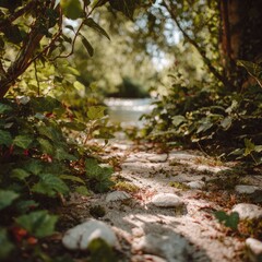 Fototapeta premium A path through lush foliage, leading to a stream