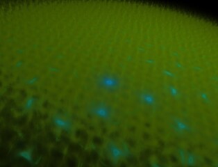 Imaginatory fractal abstract background Image