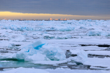 Floating ice on the ocean with mountains in the background in the arctic of Svalbard, Norway © Reto Ammann
