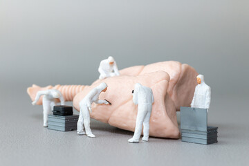 Tiny hazmat-suited figures examine a human lung model, representing respiratory health, lung disease research, and medical innovation