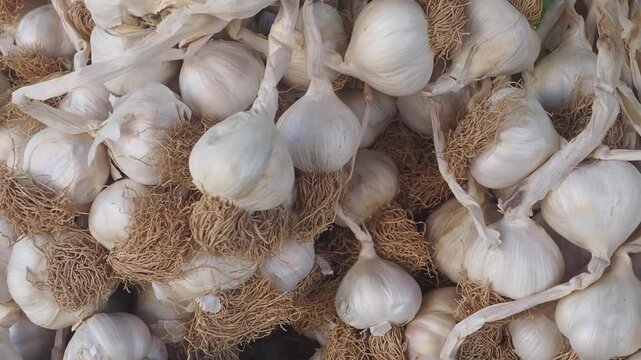 Fresh garlic displayed at a local market in the morning
