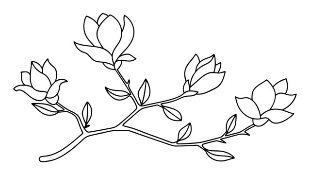 Magnolia flower, magnolia tree branch line art