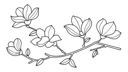 Fototapeta premium Magnolia flower, magnolia tree branch line art