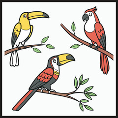 Colorful birds collection illustration