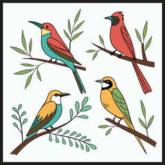 Colorful birds collection illustration