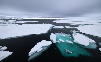 Floating ice shelfs on the ocean with mountains in the background in the arctic of Svalbard, Norway © Reto Ammann