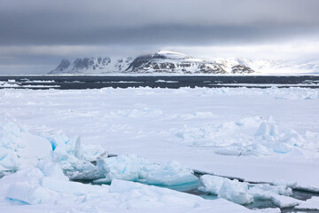 Floating ice on the ocean with mountains in the background in the arctic of Svalbard, Norway © Reto Ammann