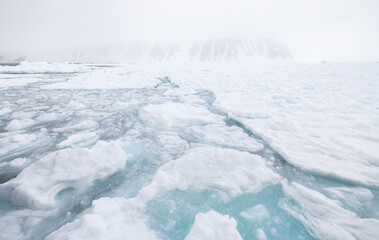 Floating ice on the ocean in fog with mountains in the background in the arctic of Svalbard, Norway © Reto Ammann