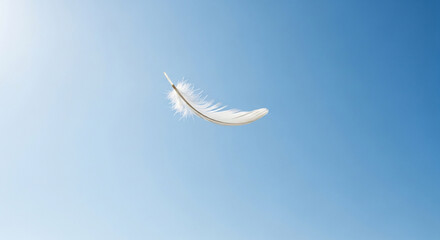 Delicate White Feather Floating Gracefully in a Vast Blue Sky