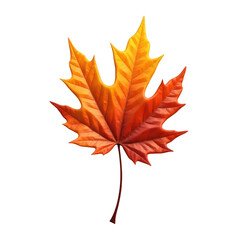 Vibrant autumnal maple leaf against a black background.