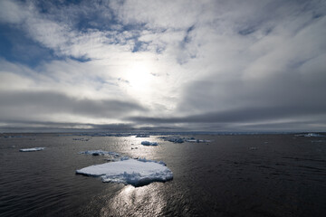 Floating ice on the ocean with mountains in the background in the arctic of Svalbard, Norway © Reto Ammann