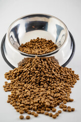 Dog and cat dry food on a stainless steel bowl on a white background