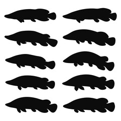 Silhouette illustration of multiple Asian catfish.