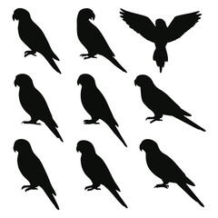 Silhouette collection of parrots in various poses, including flight, on white background.