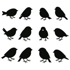 Twelve black bird silhouettes in various poses, arranged in a grid pattern on a white background.