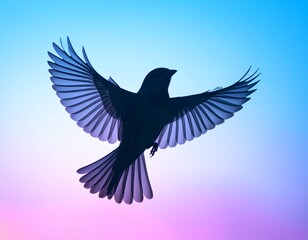 Fototapeta premium dove of peace
