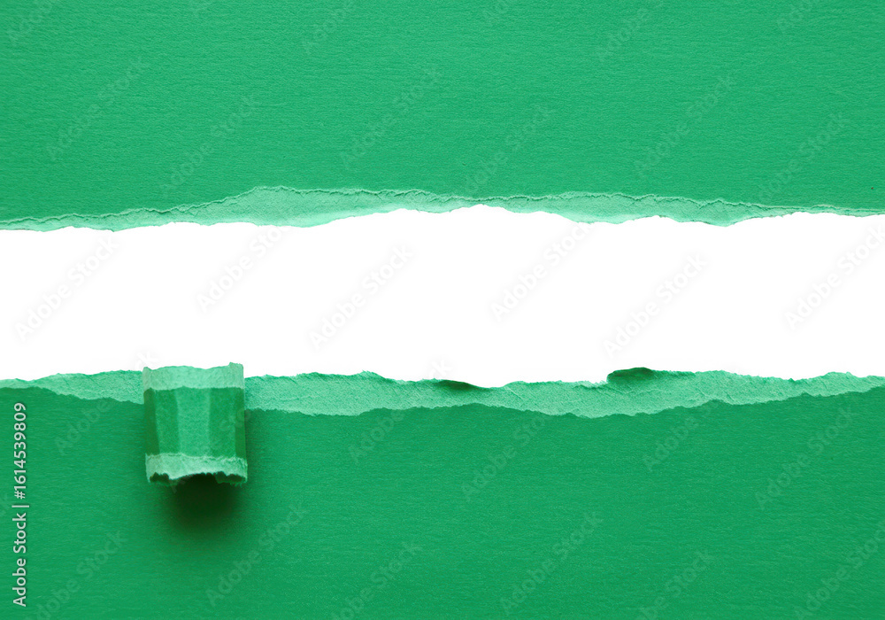 Poster a bright green paper is torn horizontally with a rough edge and a rolled corner, isolated on a trans