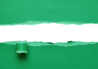 A bright green paper is torn horizontally with a rough edge and a rolled corner, isolated on a transparent background