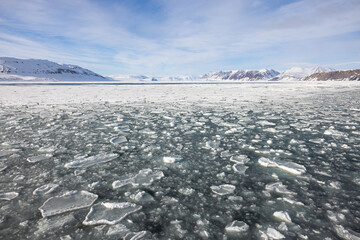 Floating ice on the ocean with mountains in the background in the arctic of Svalbard, Norway © Reto Ammann