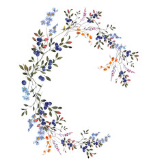 Watercolor hand draw clipart with north berries, leaves, herbs, flowers, mushroom, fly agaric, isolated on white background