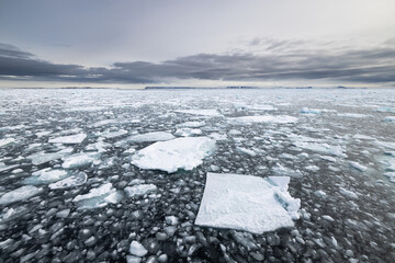 Floating ice on the ocean with mountains in the background in the arctic of Svalbard, Norway © Reto Ammann