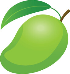Whole green mango vector with gradient shading on transparent background
