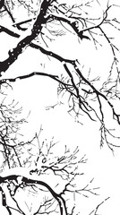 Obraz premium Snow-covered branches in a winter scene. silhouette illustration