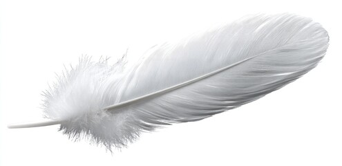 Single white feather floats gently