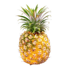 Pineapple.  Fresh tropical fruit