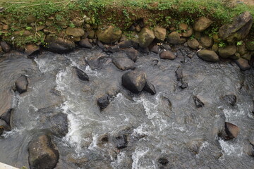 stone in the water of river flow