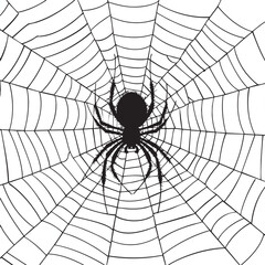 Fototapeta premium Spider Weaving Web Silhouette , black silhouettes isolated on white background