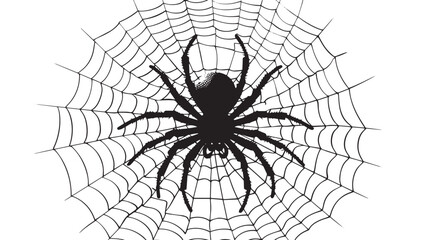 Obraz premium Spider Weaving Web Silhouette , black silhouettes isolated on white background