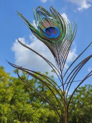 Peacock Feather Against a Bright Blue Sky