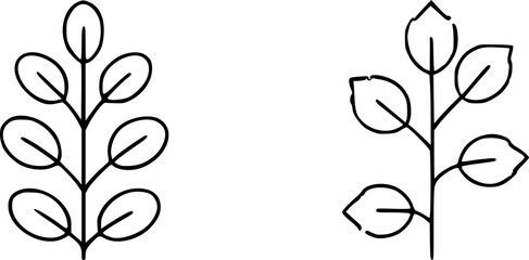 Two simple illustrations of plant stems with oval-shaped leaves.
