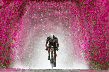Cyclist Blossoms: A cyclist pedals through a tunnel of vibrant pink blossoms, creating a breathtaking scene of nature and athleticism, perfect for conveying themes of determination and achievement.