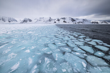Floating ice on the ocean with mountains in the background in the arctic of Svalbard, Norway © Reto Ammann